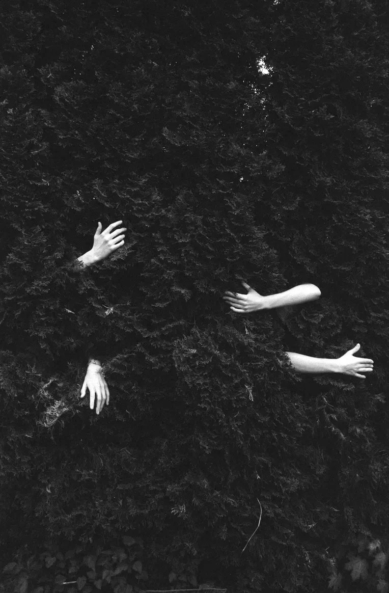 Портфолио. Visual Storyteller & Film Photographer