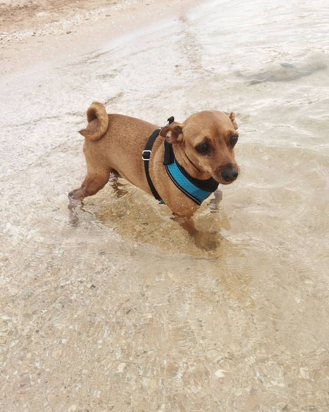 Anka`s Instagram. Заставка