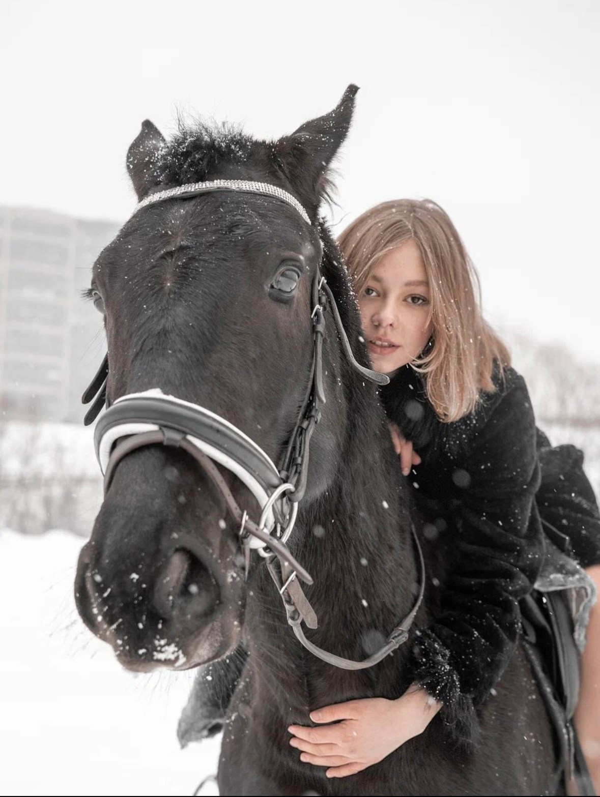 Фотопроект «На коне». ТриМедиа Продакшн