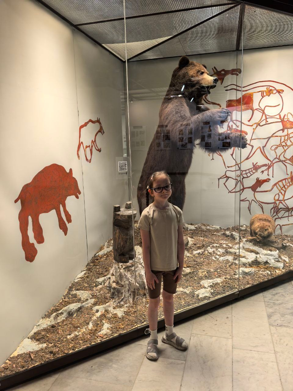 Дарвиновский музей г. Москва экологические приключения. АНО «Центра социальных проектов «Путь в большой мир»