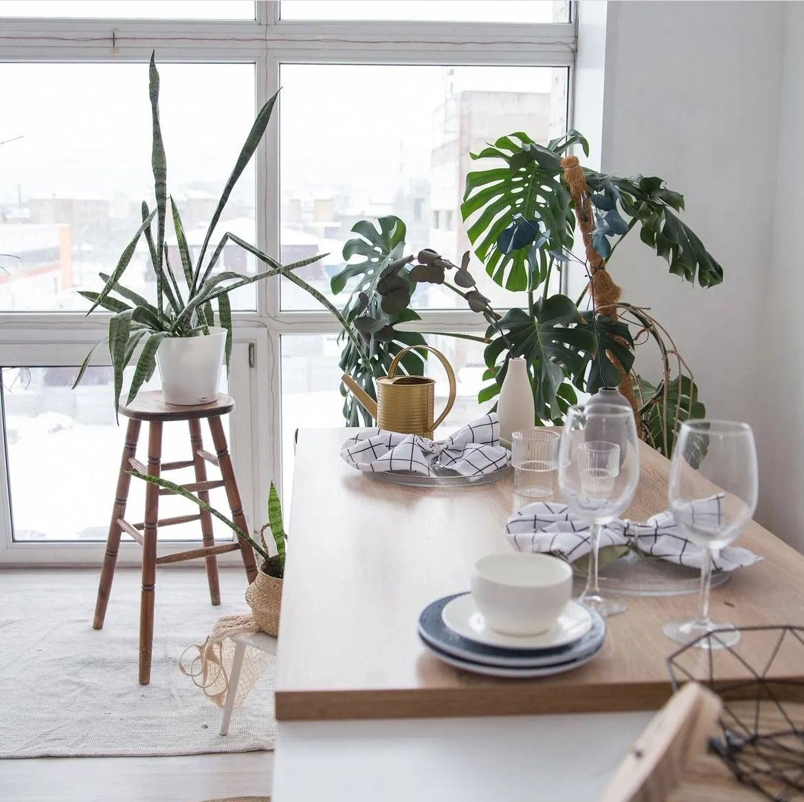 Студия Love is зал Сканди, 1700 руб. в час. Классный фотограф Красноярска Васильева Ирина