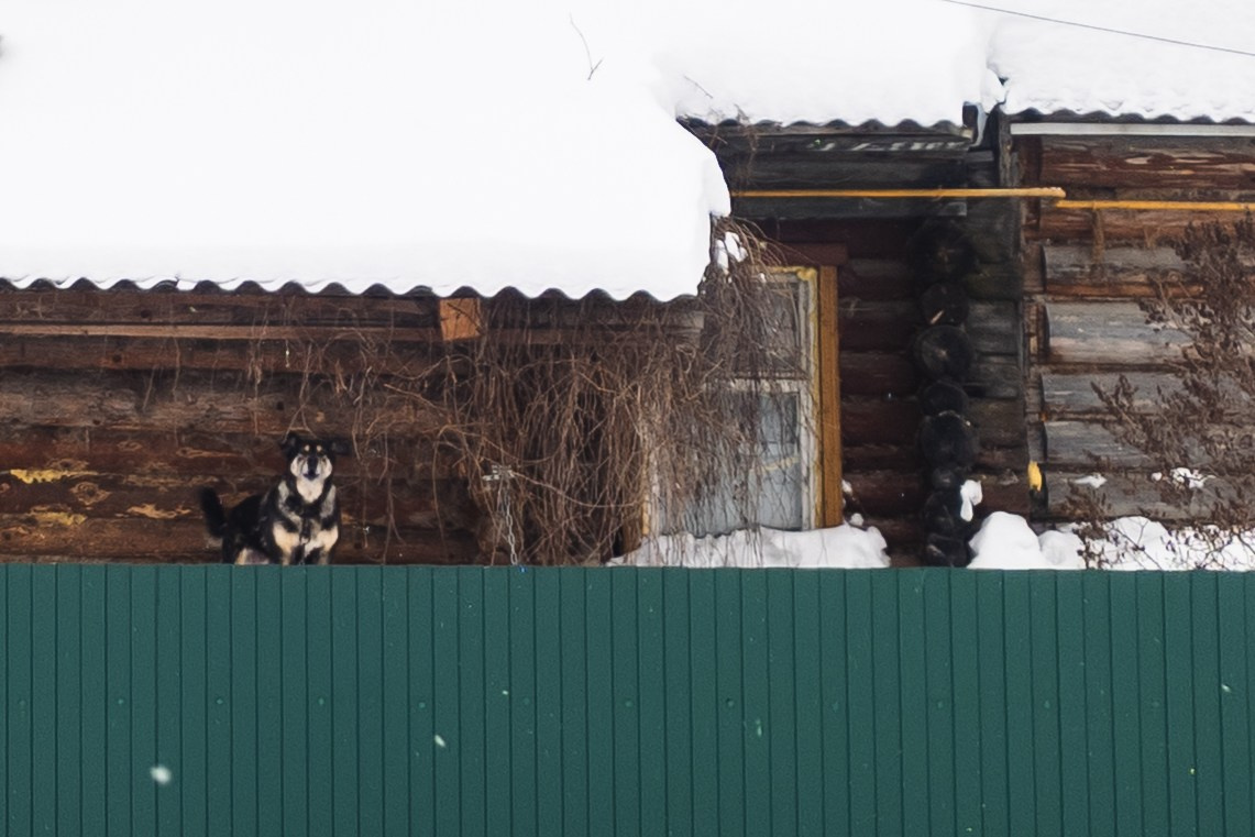 Фоточеллендж «30 дней — 30 фото». Олег Романов. Мастер фото по спорту
