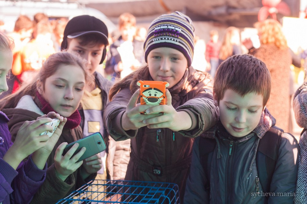 Ярмарка талантов. Детский и семейный фотограф, фотограф мероприятий Нижний Новгород