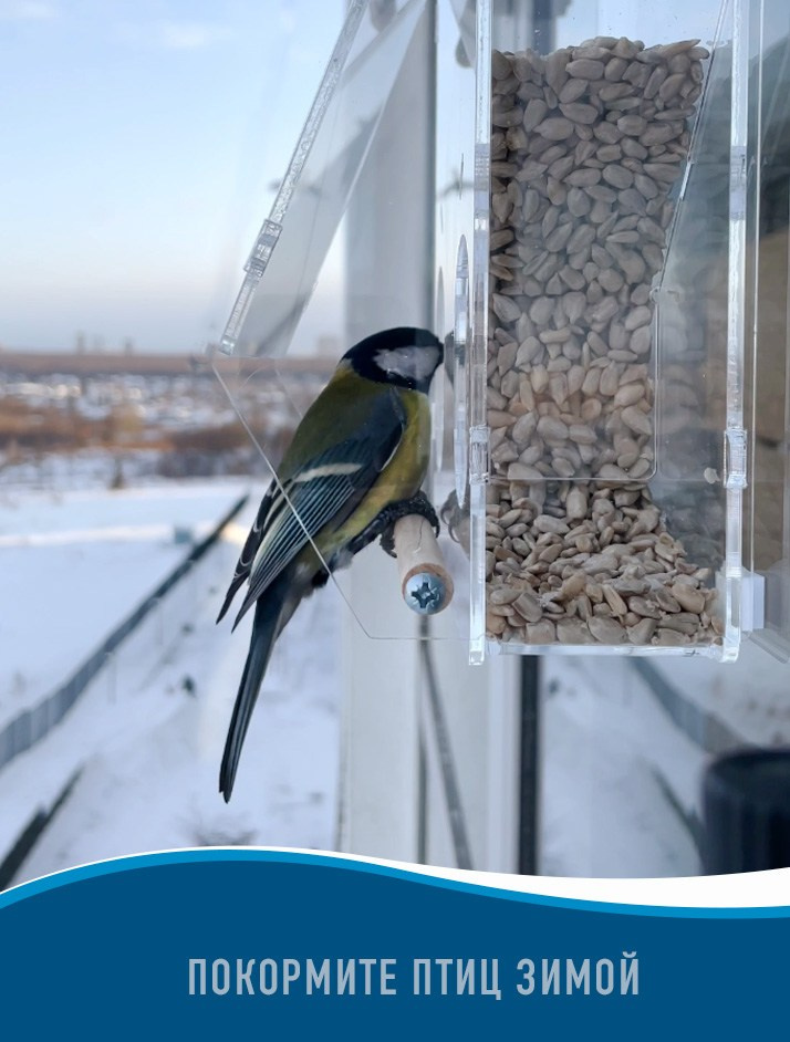 БАСТИОН. Кормушки для птиц на окно Чирик-Чирик