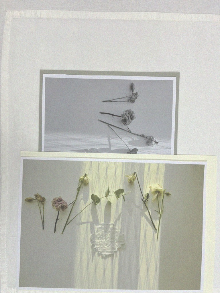 Предметная съемка. Art direction & Design | Curiosa