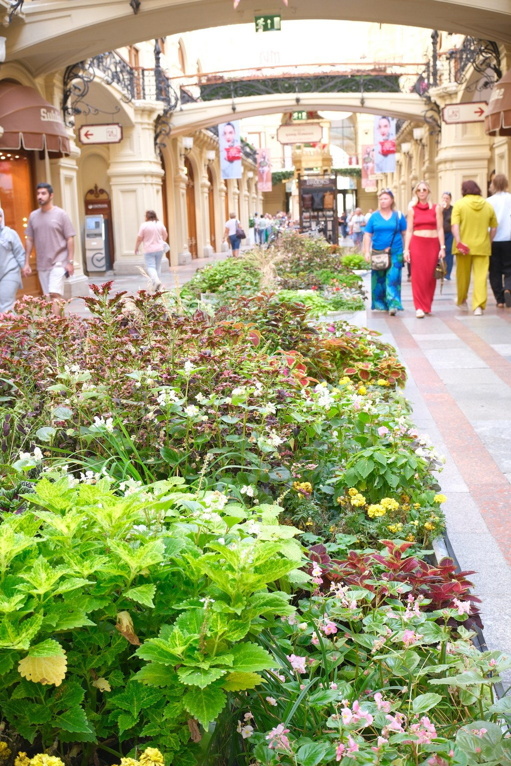 День города 2024. Улица, люди, жизнь…