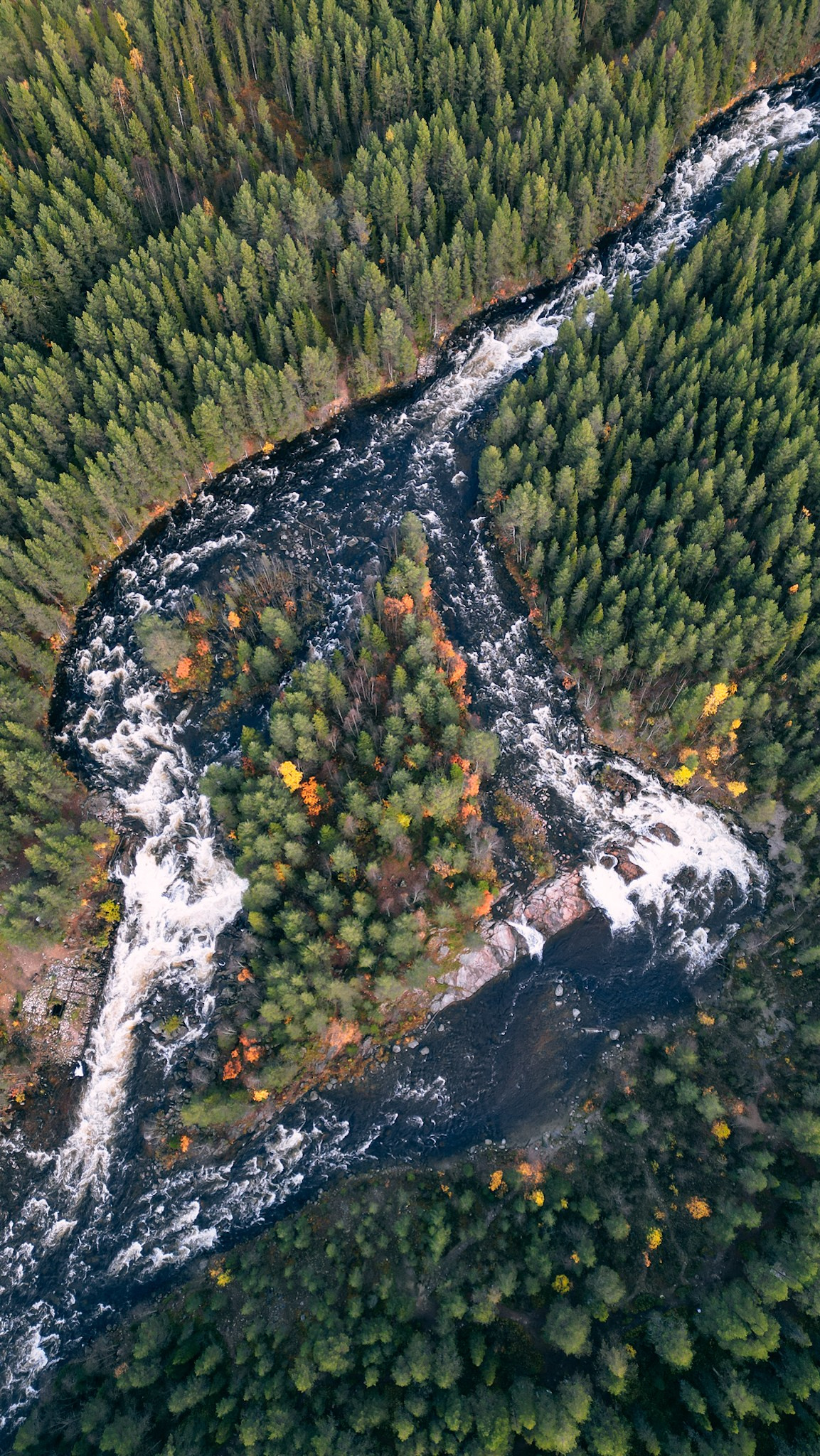 Умба. Человек с фотокамерой
