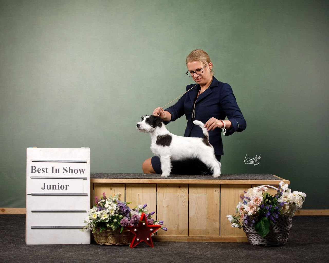 LOVELY-ORANGE POKER. Lovely-Orange питомник джек рассел терьеров