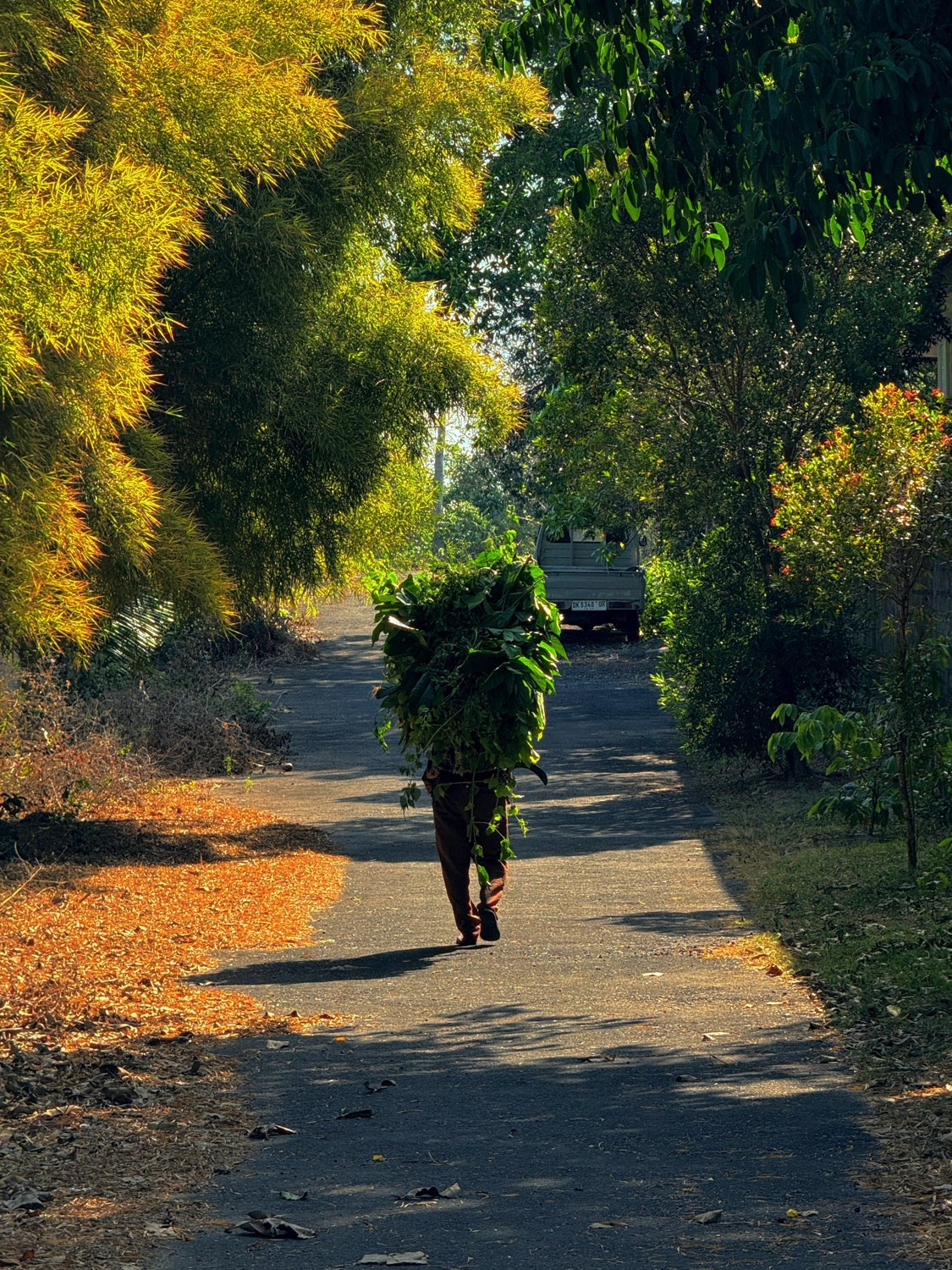 Современная концептуальная фотография о теле, уязвимости и идентичности. Визуальная практика на стиле честности, пост-иронии и искусства.Рекламная фотография, Концептуальная фотография, Современный художник, Психология, Коммерческий фотограф, Репортажный фотограф, Стрит фотография, Арт, Сюрреализм, Мобильная фотография, Снято на айфон, Дима Бурза