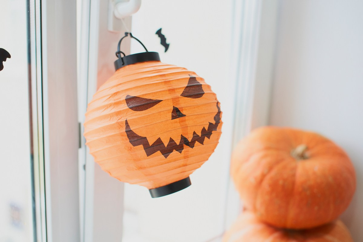 Тематический праздник в языковой школе FunLS. Репортажный и женский фотограф в Новосибирске