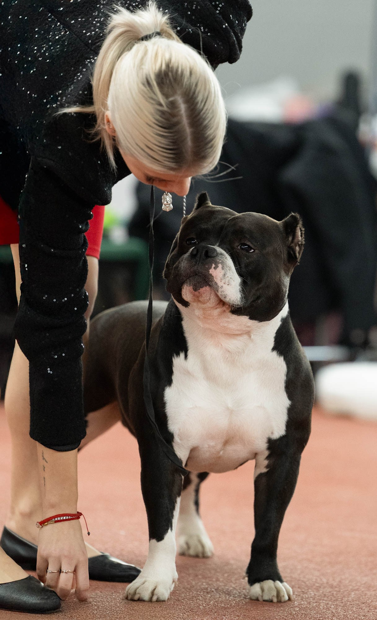 IDBC. Виктория Михайловская. Фотограф-анималист. Москва