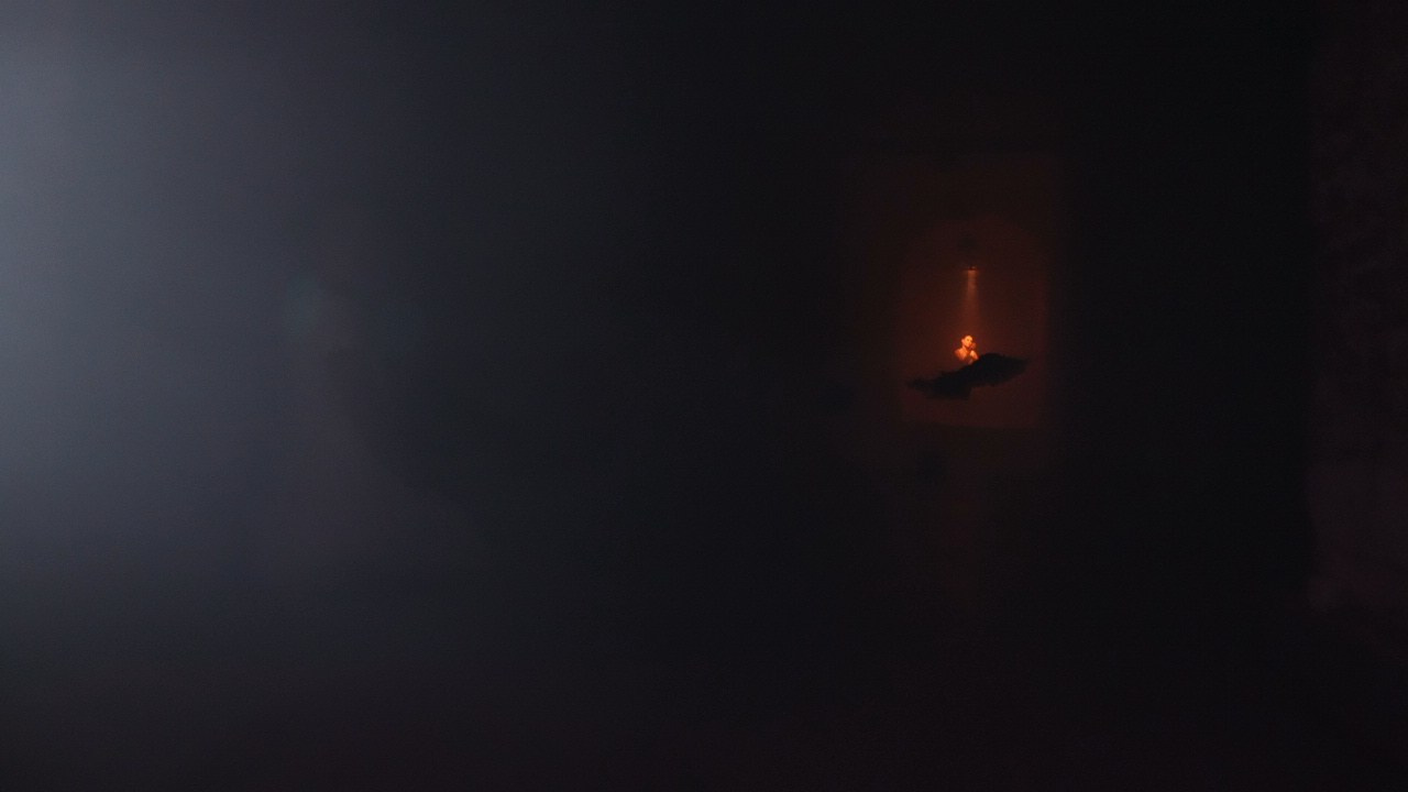 Красное дерево. Фото / Видеосъемка в Москве