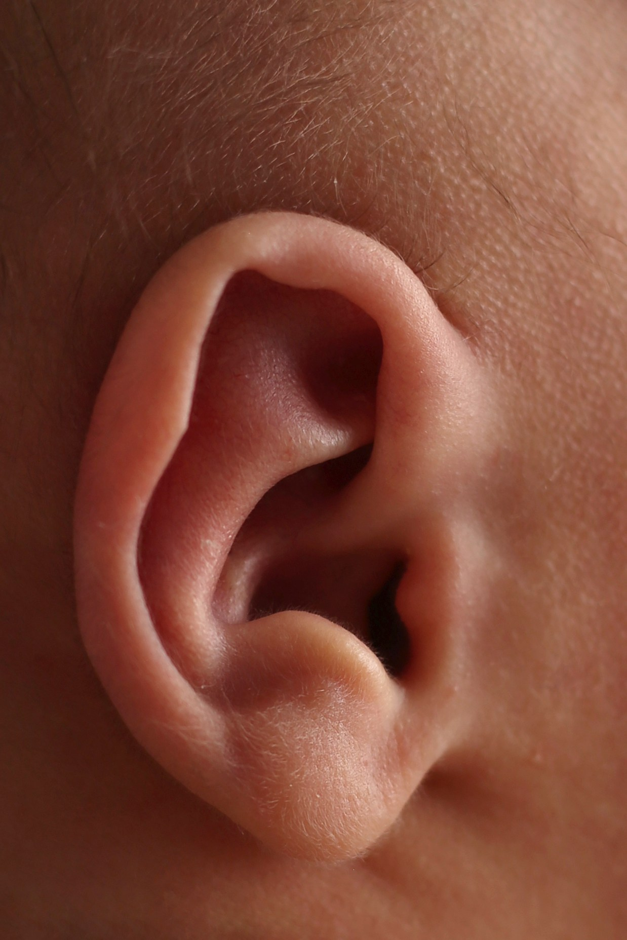 Новорожденный. Главная