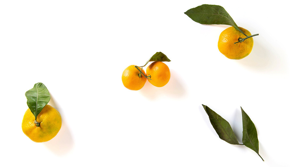 На белом фоне. Предметный и рекламный фотограф в Ростове-на-Дону Кристина Орлова