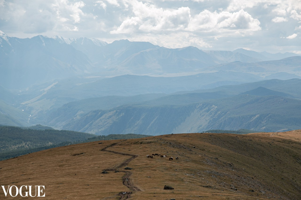 Photo Vogue. Семейный и детский фотограф в Санкт-Петербурге Павлова Елена