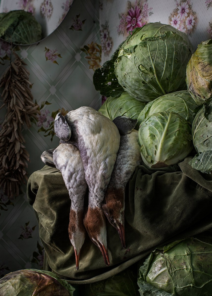 Атлас первого снега серия фотографий. Елена Аносова — художница и исследовательница, куратор и лектор