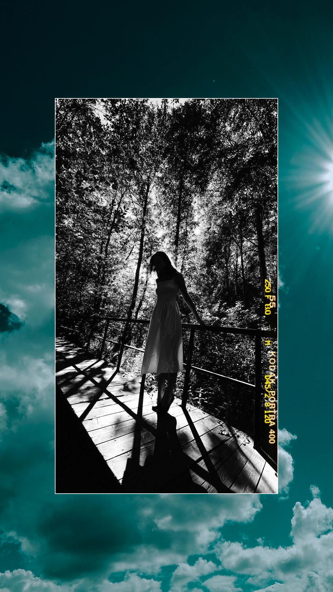 Даша. PASHAHARCE PHOTOGRAPHER & VIDEOGRAPHER