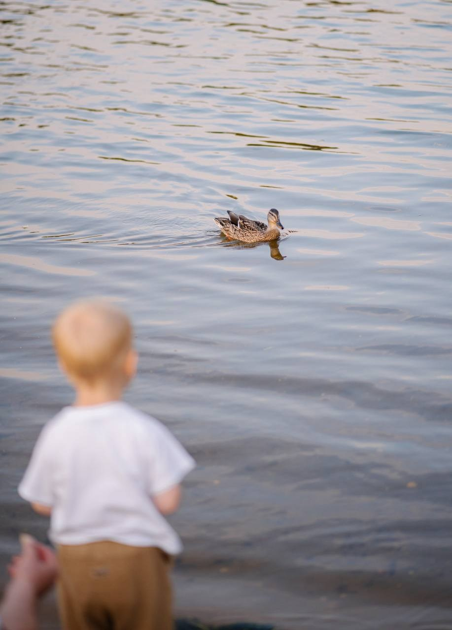 Дима и Илья. Семейный и портретный фотограф в Москве Анастасия Бабак