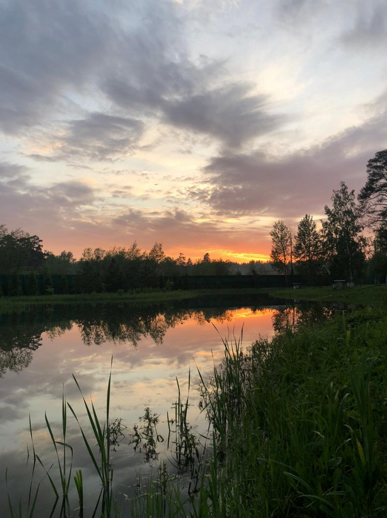 Площадка № 3-14. Свадебный организатор Москва