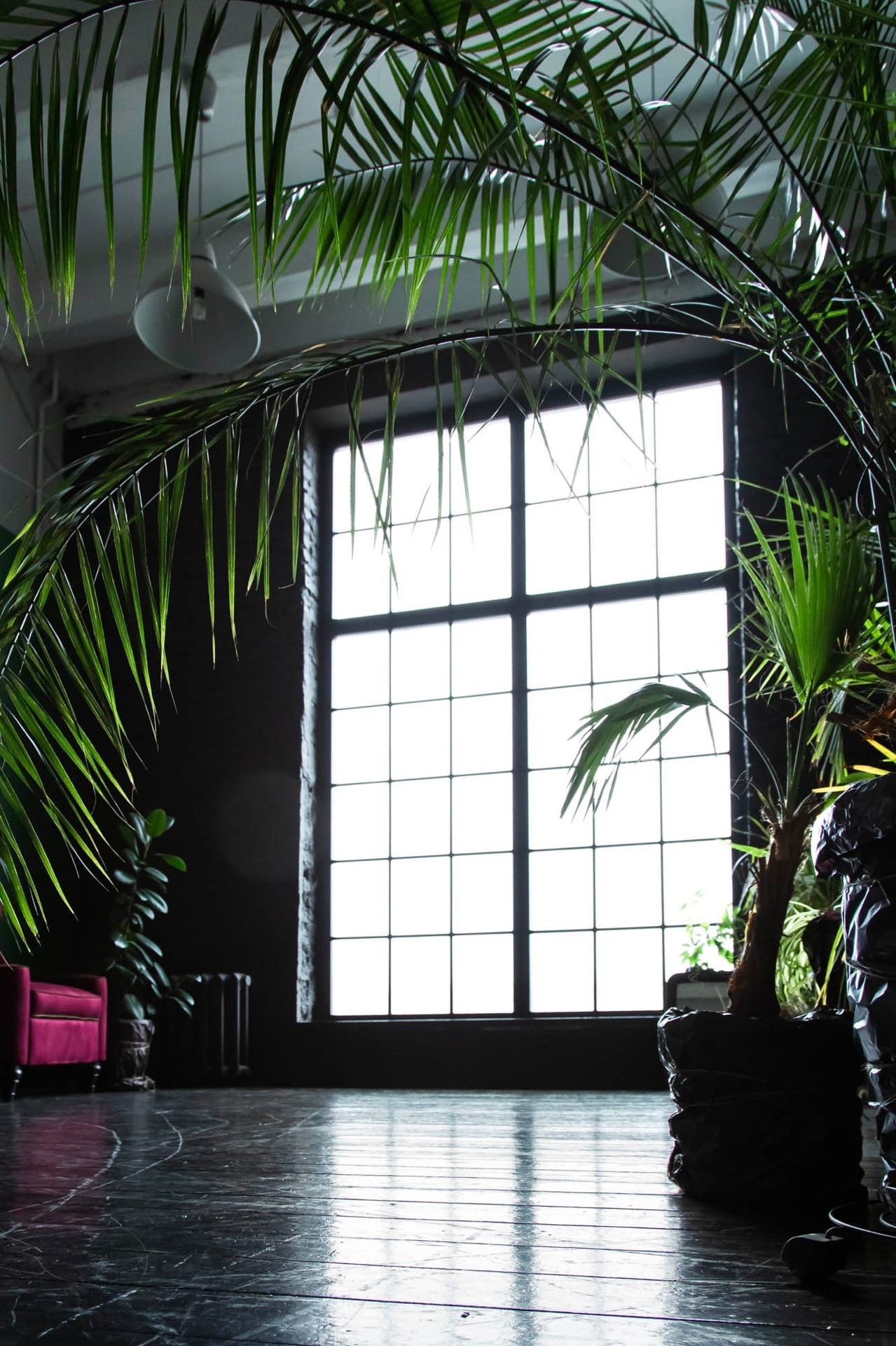 Фотостудия HISTORY | Пермь. Семейный фотограф в Перми Ольга Гилева. Выпускные альбомы