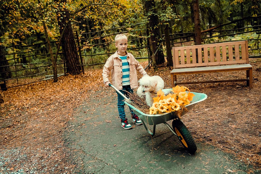 Осень в Авеню. Семейный фотограф в Перми Ольга Гилева. Выпускные альбомы