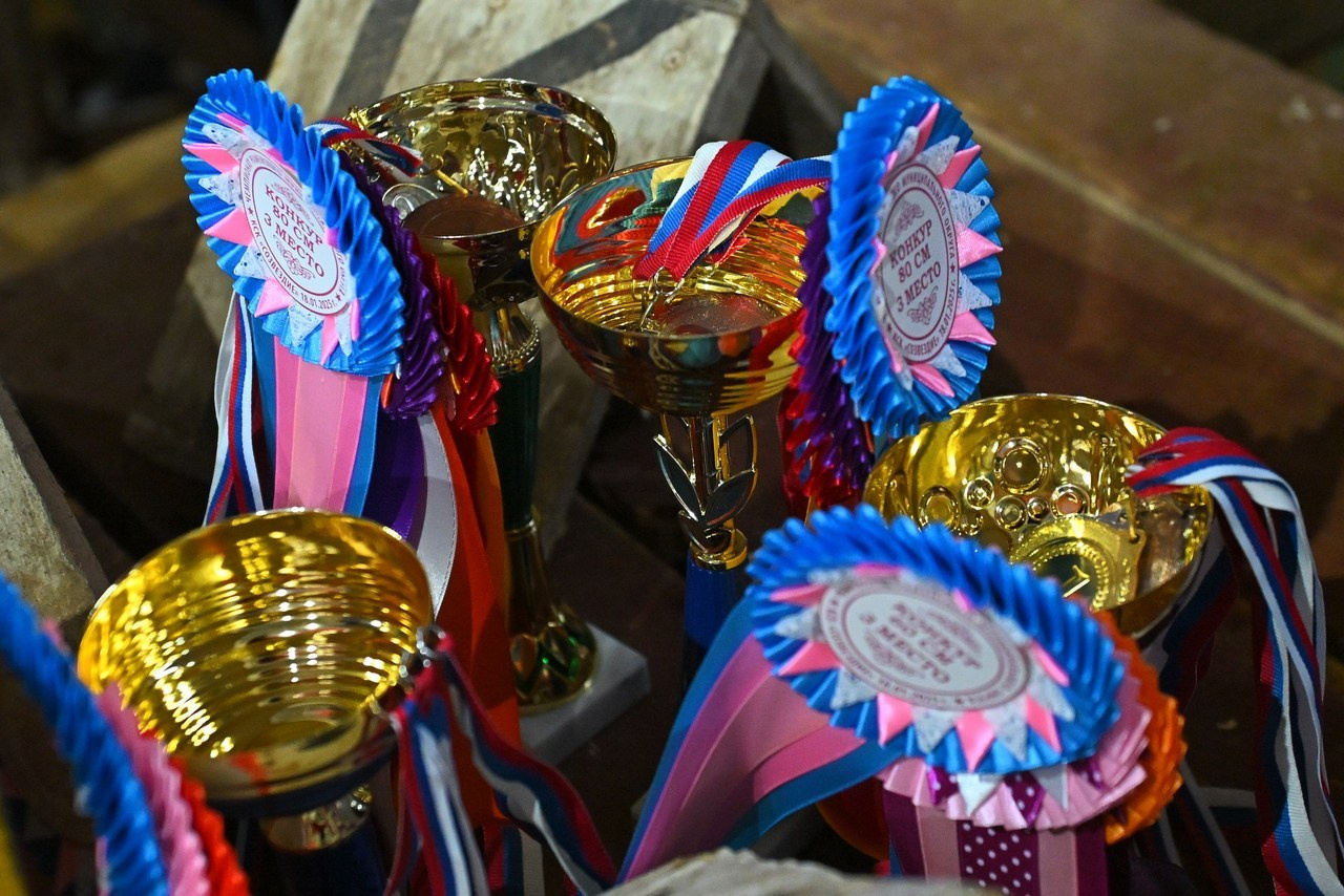 Отзывы. ТУРНИРНАЯ КОННАЯ ФОТОГРАФИЯ, Руднева Ольга и Евгений Адеев