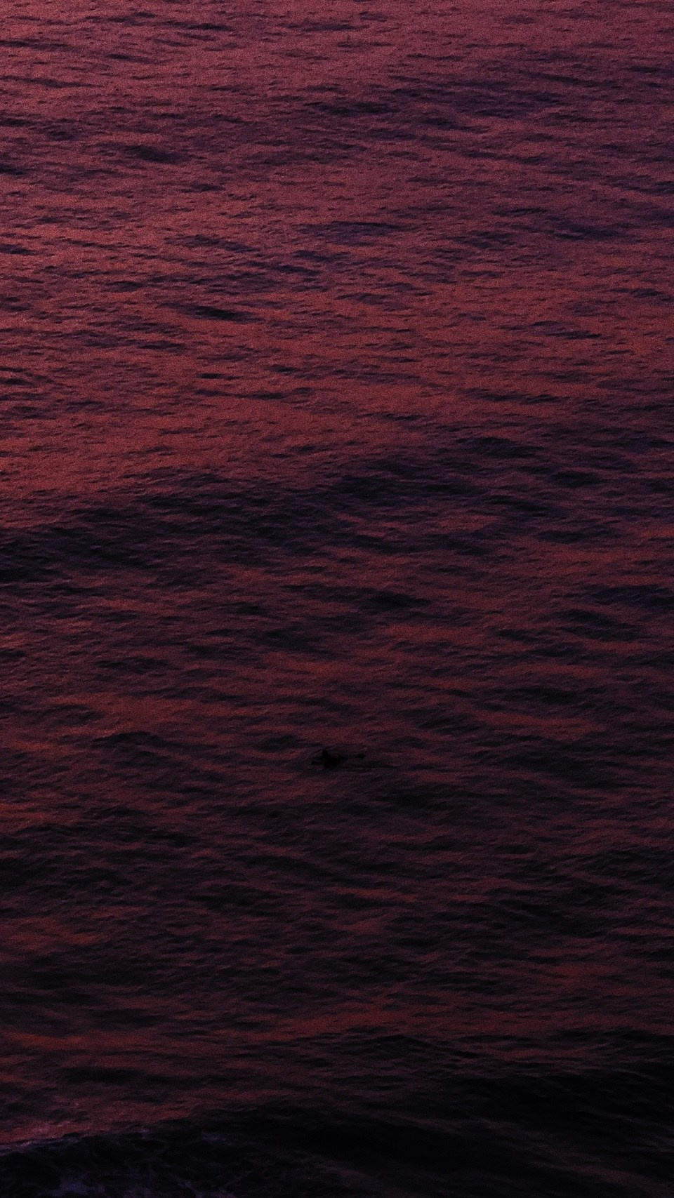 With open eyes. Carolinetru