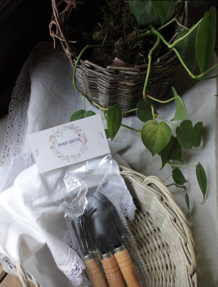 Мастер-классы. ЛЮБИМЫЕ ЦВЕТЫ