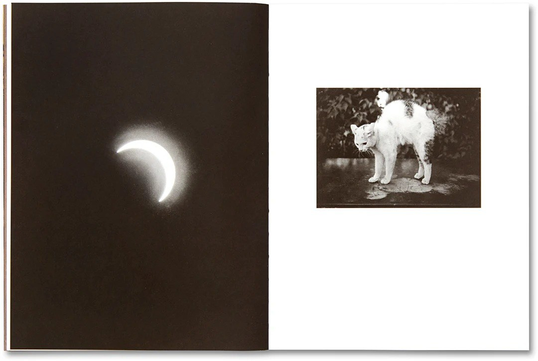 ИНТЕРВЬЮ С АВТОРАМИ: Maja Daniels. Самоорганизация Низина