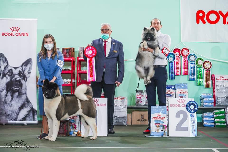 𝐑𝐔𝐁𝐘𝐋𝐈𝐆𝐇𝐓 𝐊𝐀𝐑𝐎𝐋𝐈𝐍𝐀 