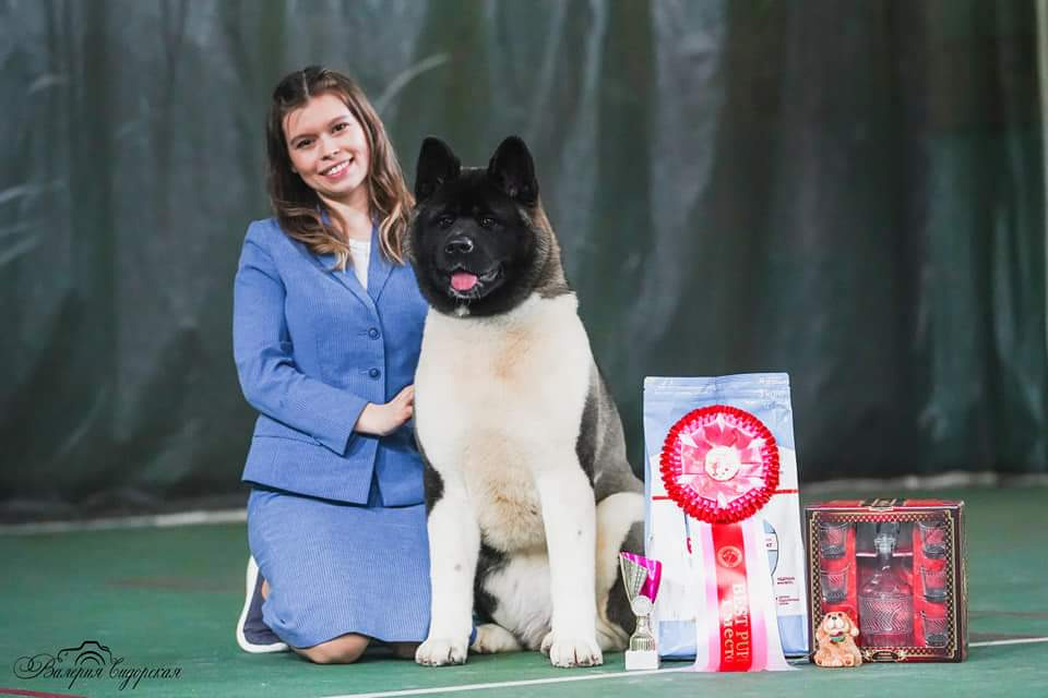 𝐑𝐔𝐁𝐘𝐋𝐈𝐆𝐇𝐓 𝐊𝐀𝐑𝐎𝐋𝐈𝐍𝐀 