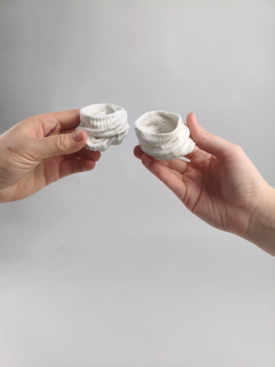 Проект *Стирание рутин*. Семенова Елизавета художник