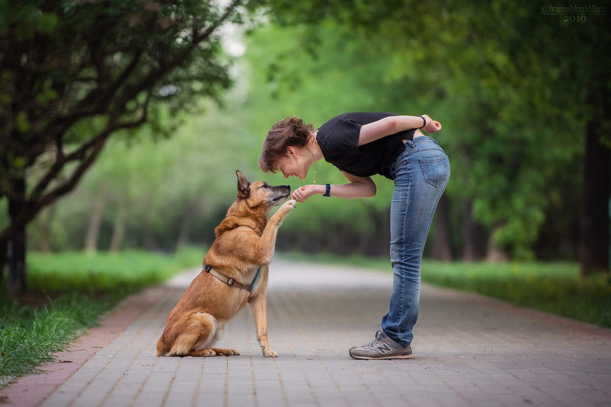 Фотосессия с собакой. Фотограф собак в Москве и Московской области Иванушкина Мария