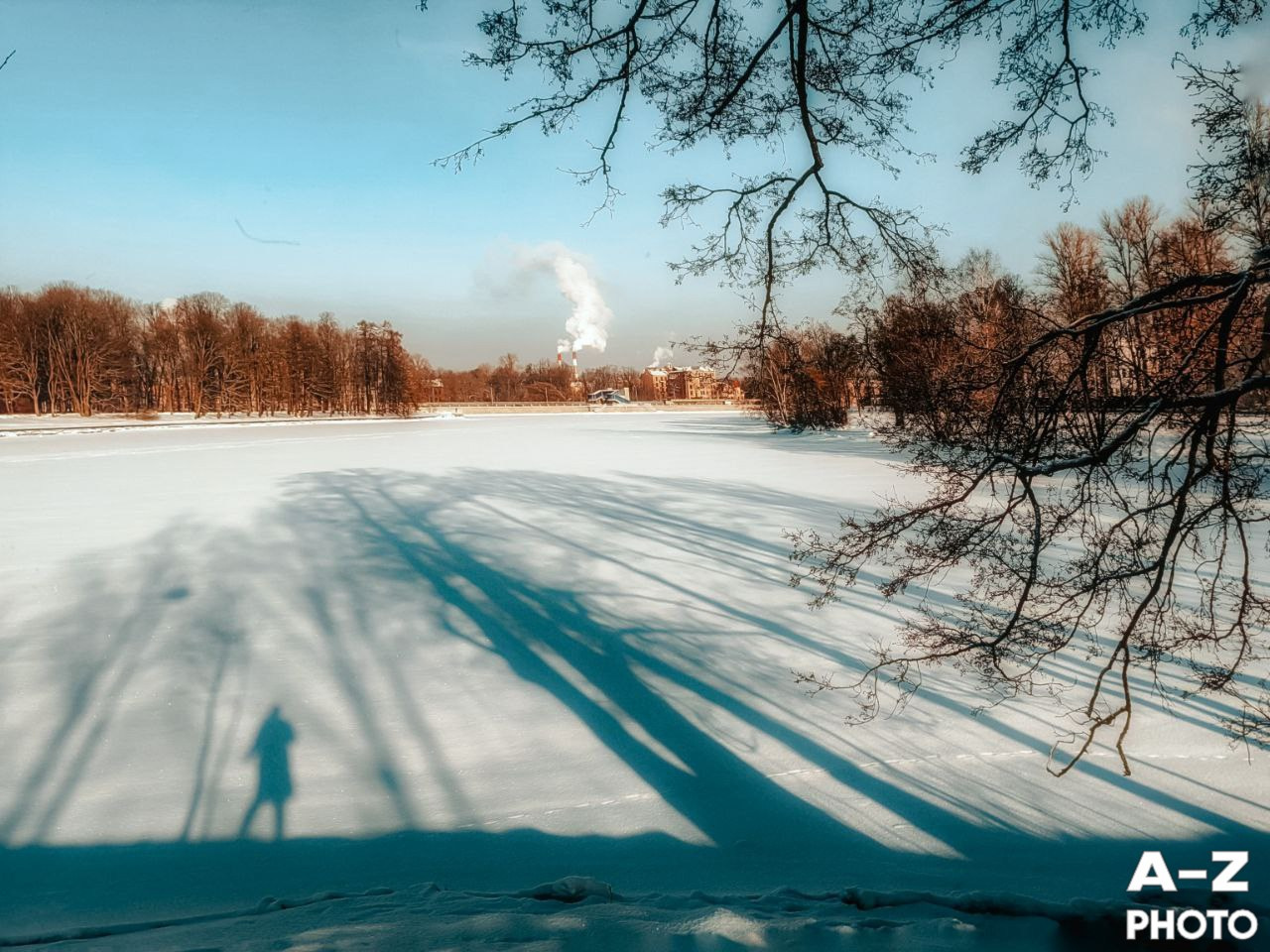#ФОТОНЕДЕЛИ 09.02.2026. Женский семейный фотограф Тула Москва Захарова Анна