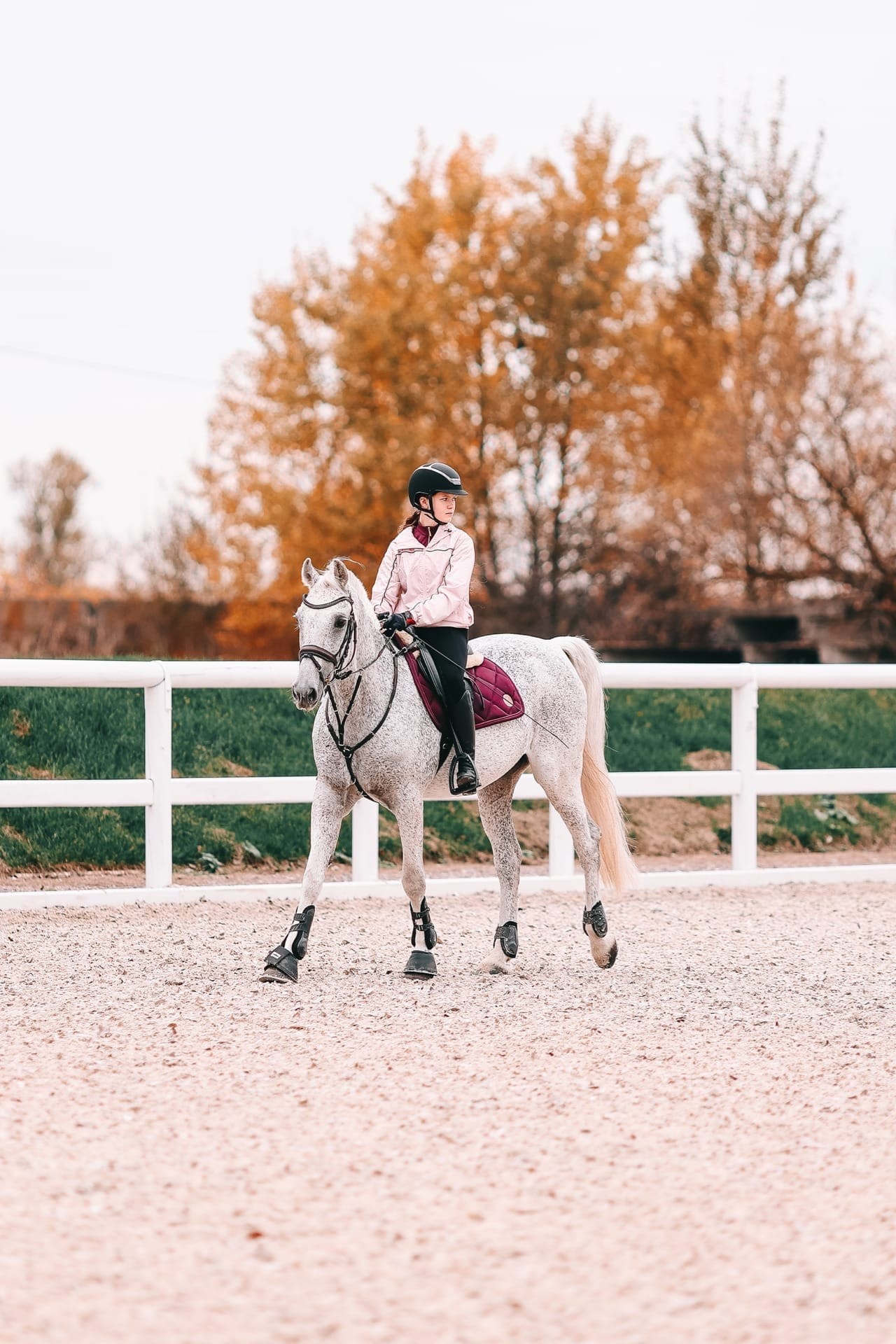 Фотосессия с лошадью, с лошадьми, лошади, тренировки, конный спорт, конюшня