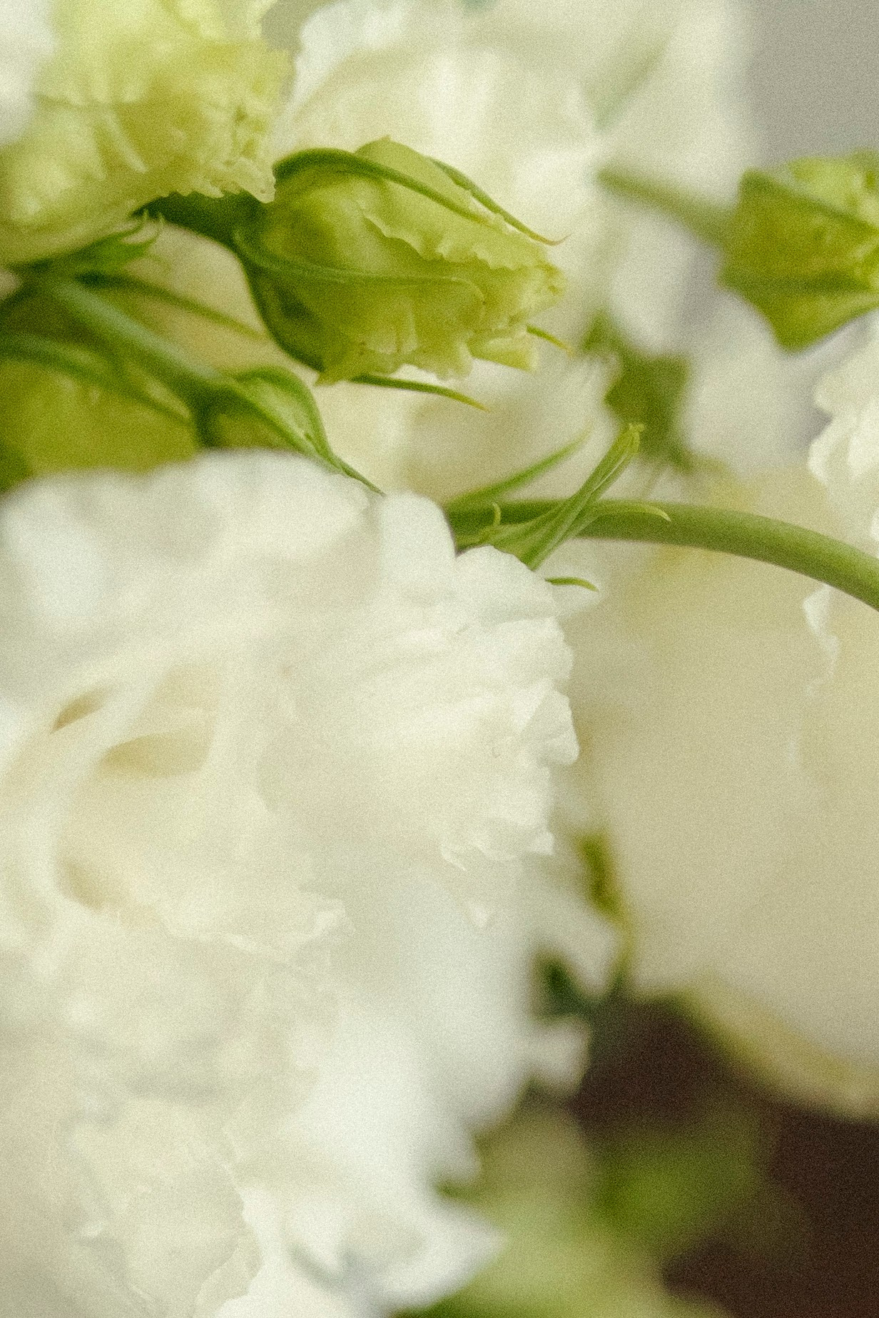 Алена и Леша 27.07.24. Индивидуальный, семейный и свадебный фотограф