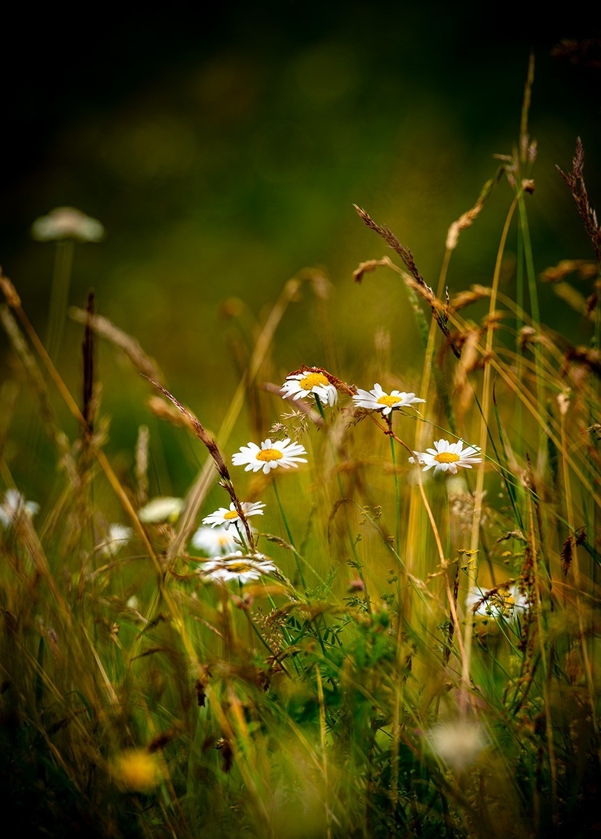 Пейзаж. Главная