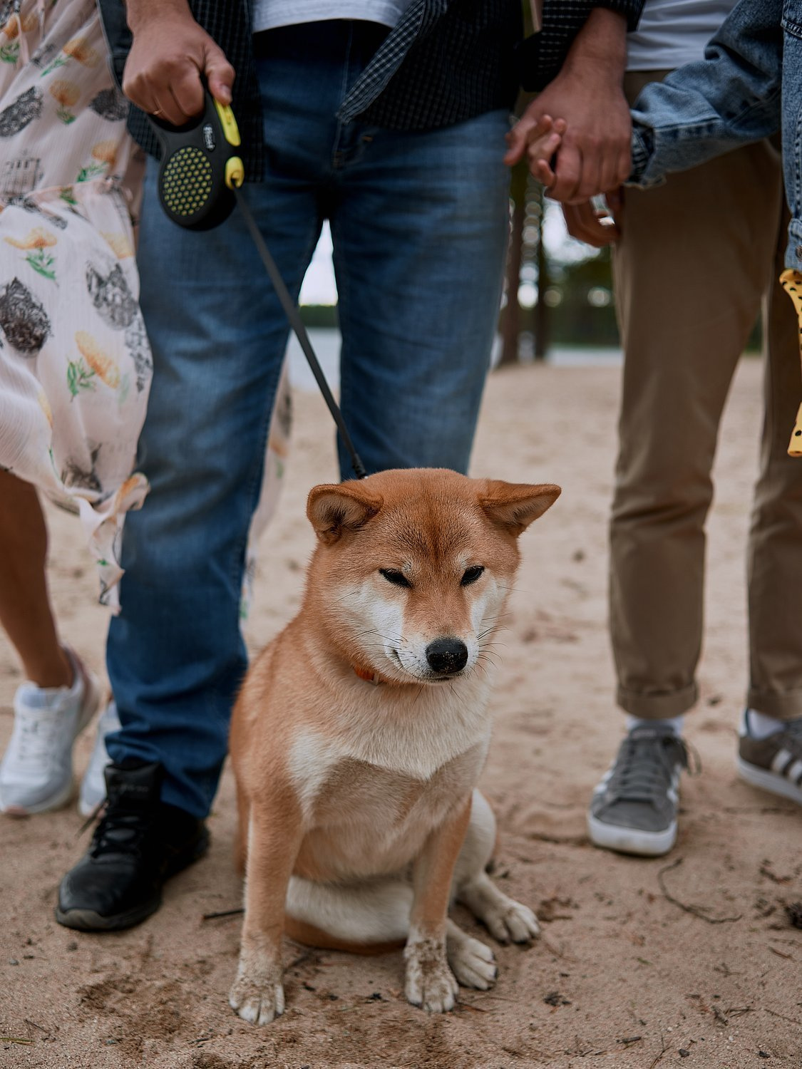 Семейная прогулка с Ами. Портретный фотограф в Санкт-Петербурге