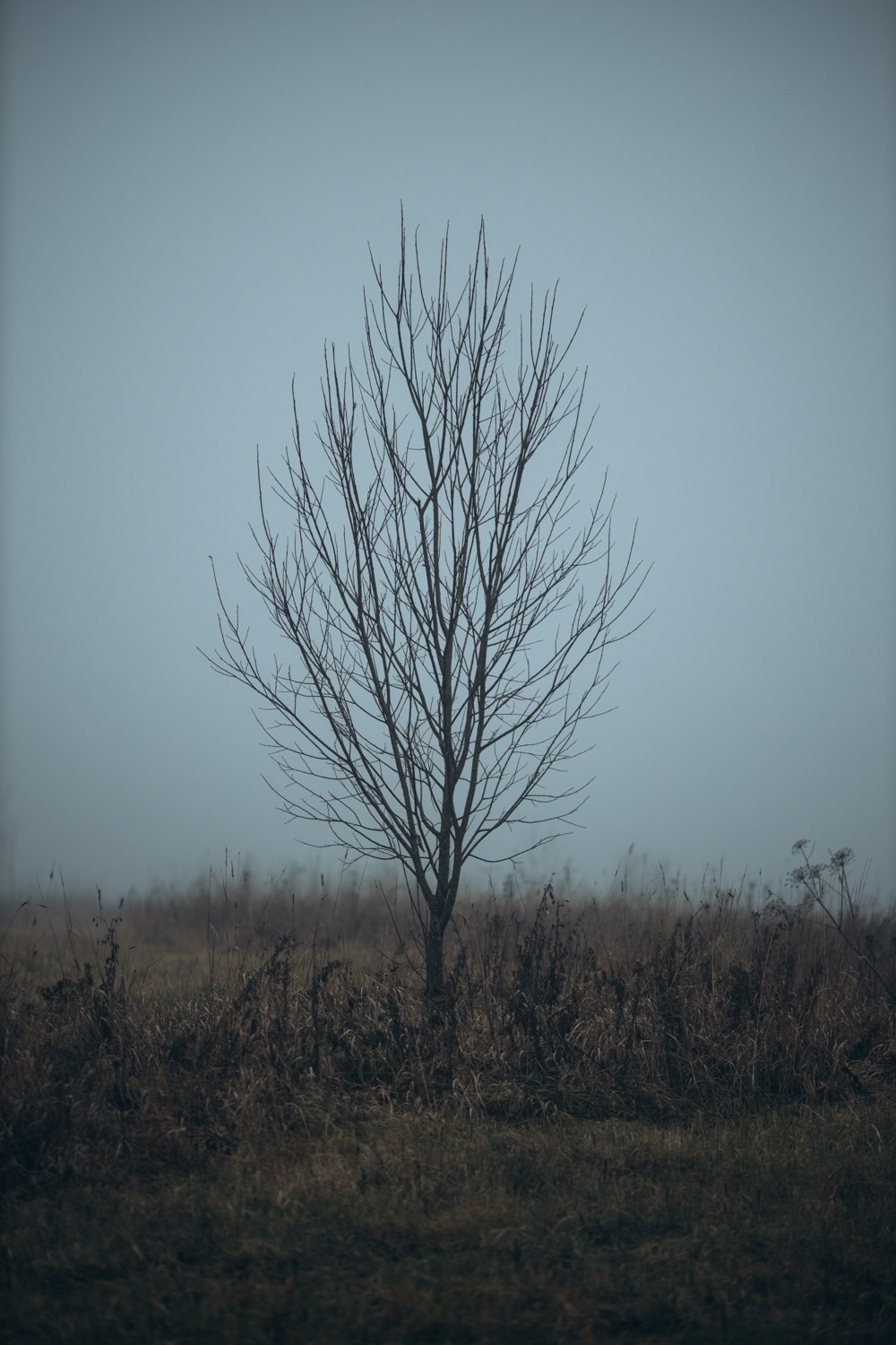 Природные пейзажи. Наталия Клевинскас портретный фотограф в Костроме