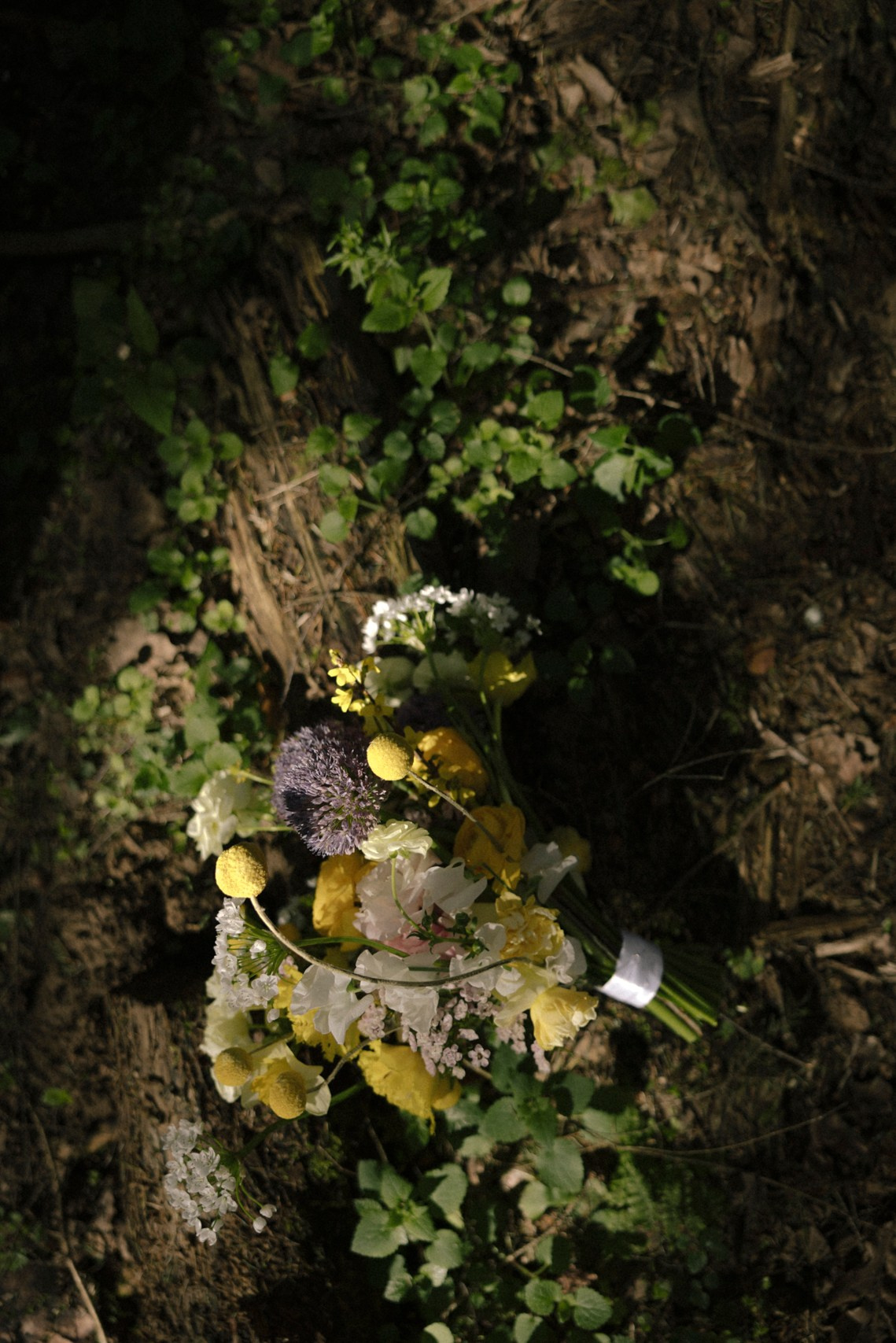 Мелодия моей любви. Свадебный фотограф в Москве