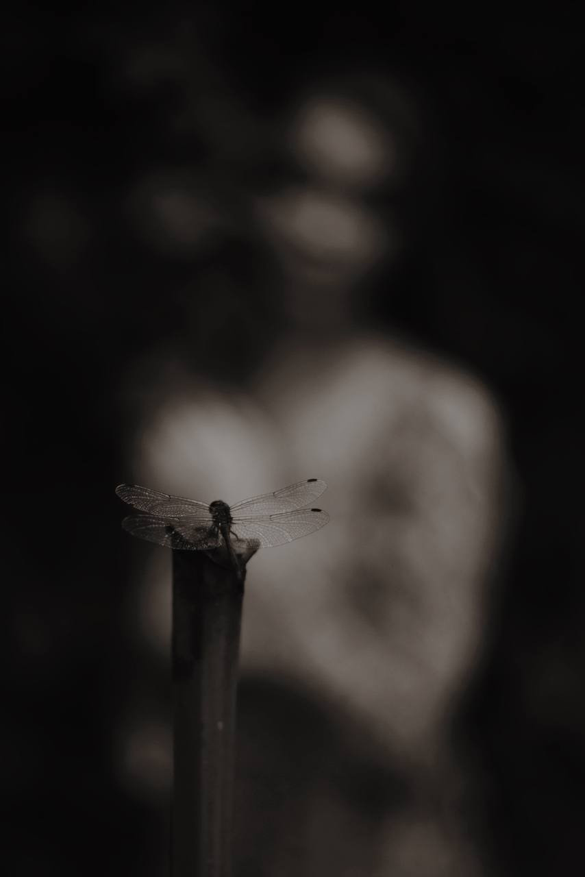 Фотосессия в Самаре. Фотограф Ксения Дзюбак Самара-Москва