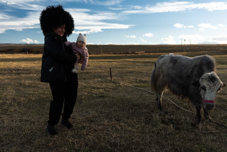 Репортаж из КЧР). Семейный фотограф и видеограф Алёна Ким