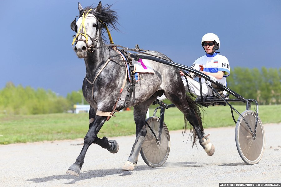 РЕПОРТАЖНАЯ СЪЕМКА. Фотограф Новосибирск