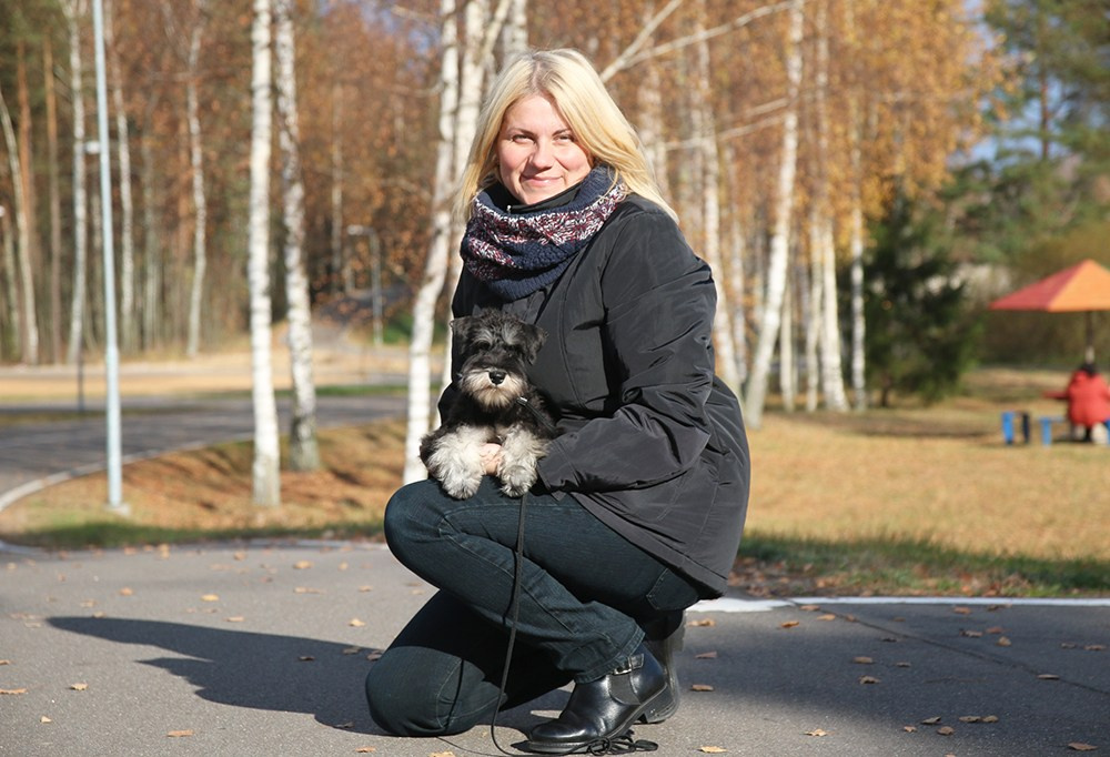 Венди/Delinso Balance Vendy Wu. Питомник цвергшнауцеров в Беларуси «Делинсо Бэлэнс»