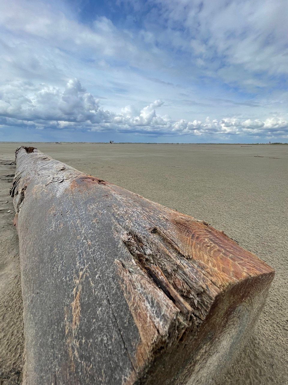 На другой планете. Фотографирую мир