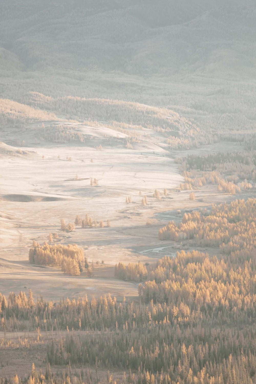 Altai Dream. Вадим Щербаков | архитектурный фотограф