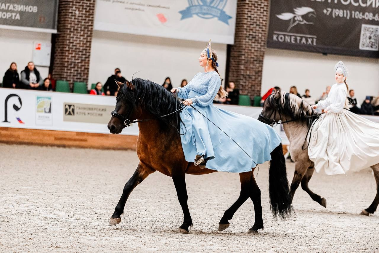 КОННАЯ РОССИЯ 2024. Конный фотограф Куракина Дарья • Фотосессии с лошадьми