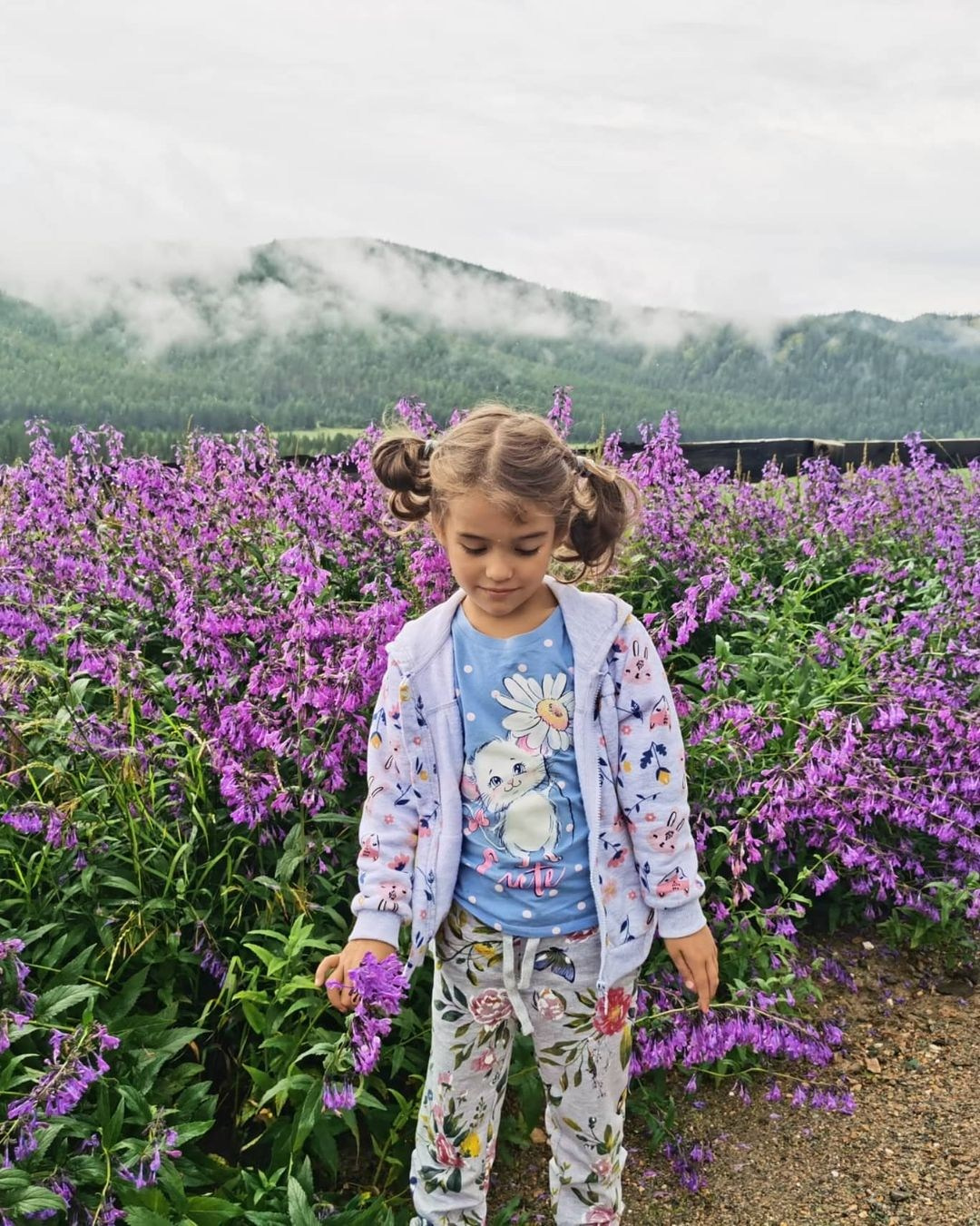 Anka`s Instagram. Заставка