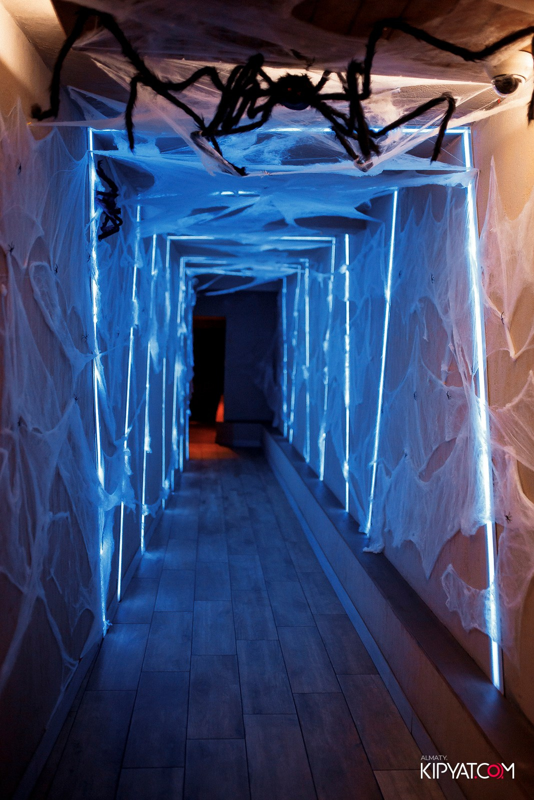 HALLOWEEN В AVENUE. КИПЯТКОМ АЛМАТЫ!