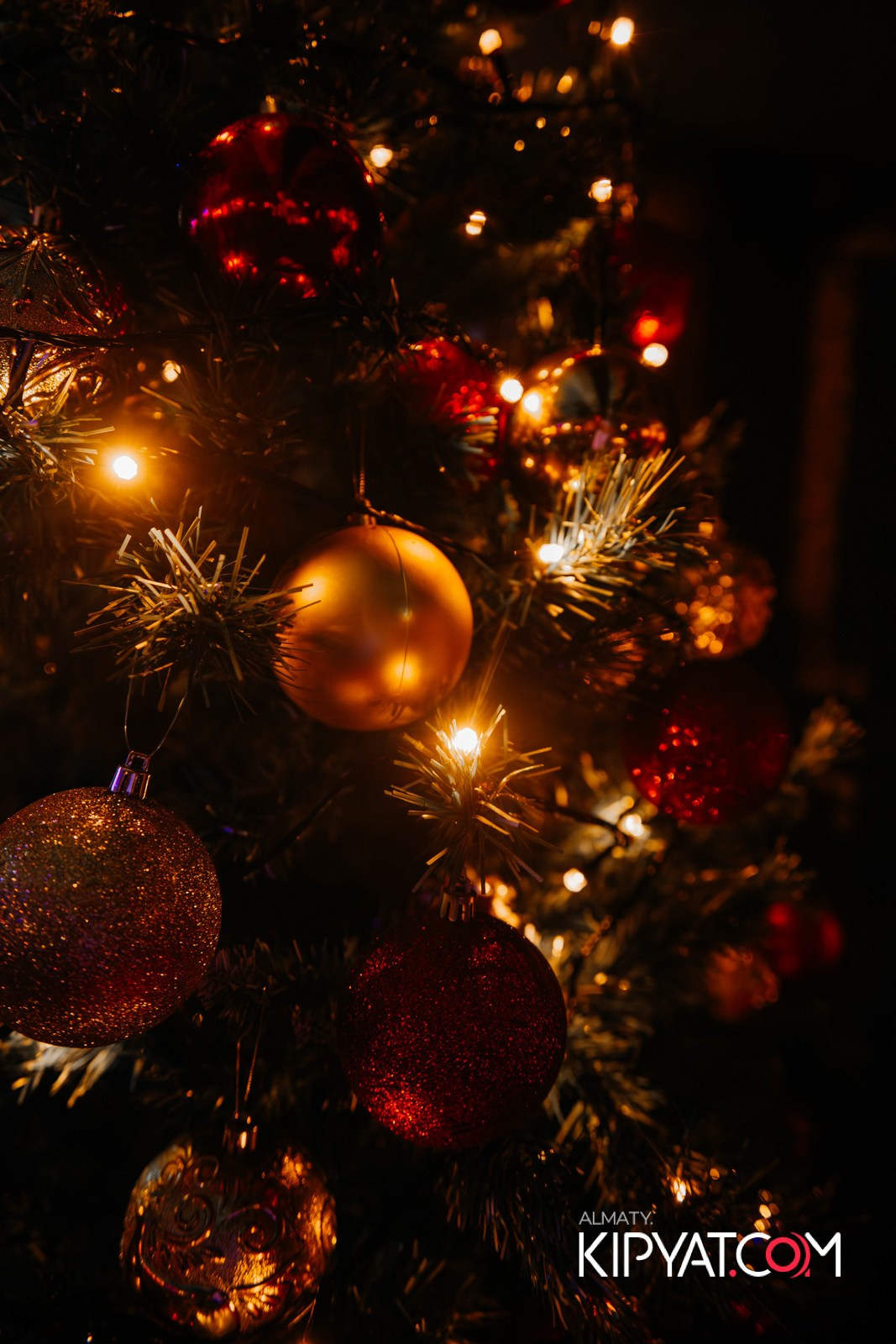 OLOVO BAR НА САТПАЕВА. КИПЯТКОМ АЛМАТЫ!